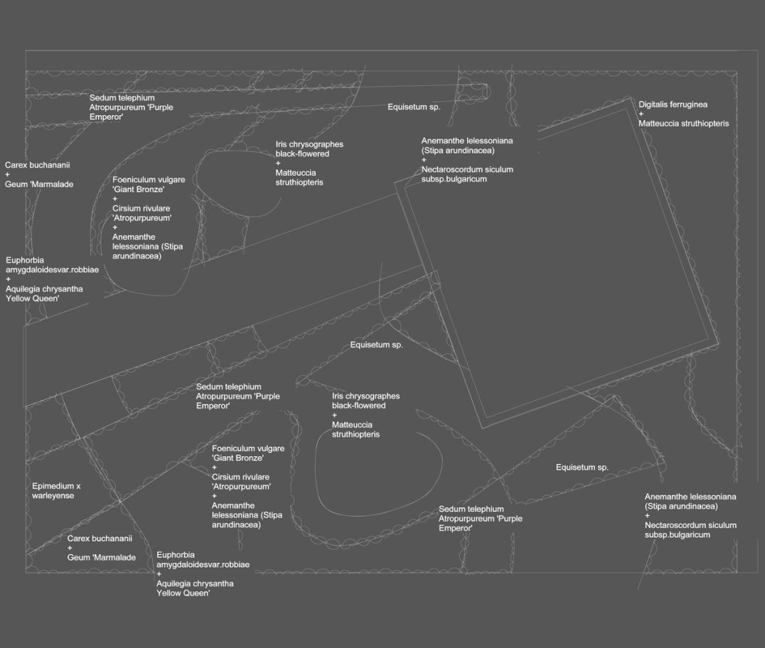 landscape-plan